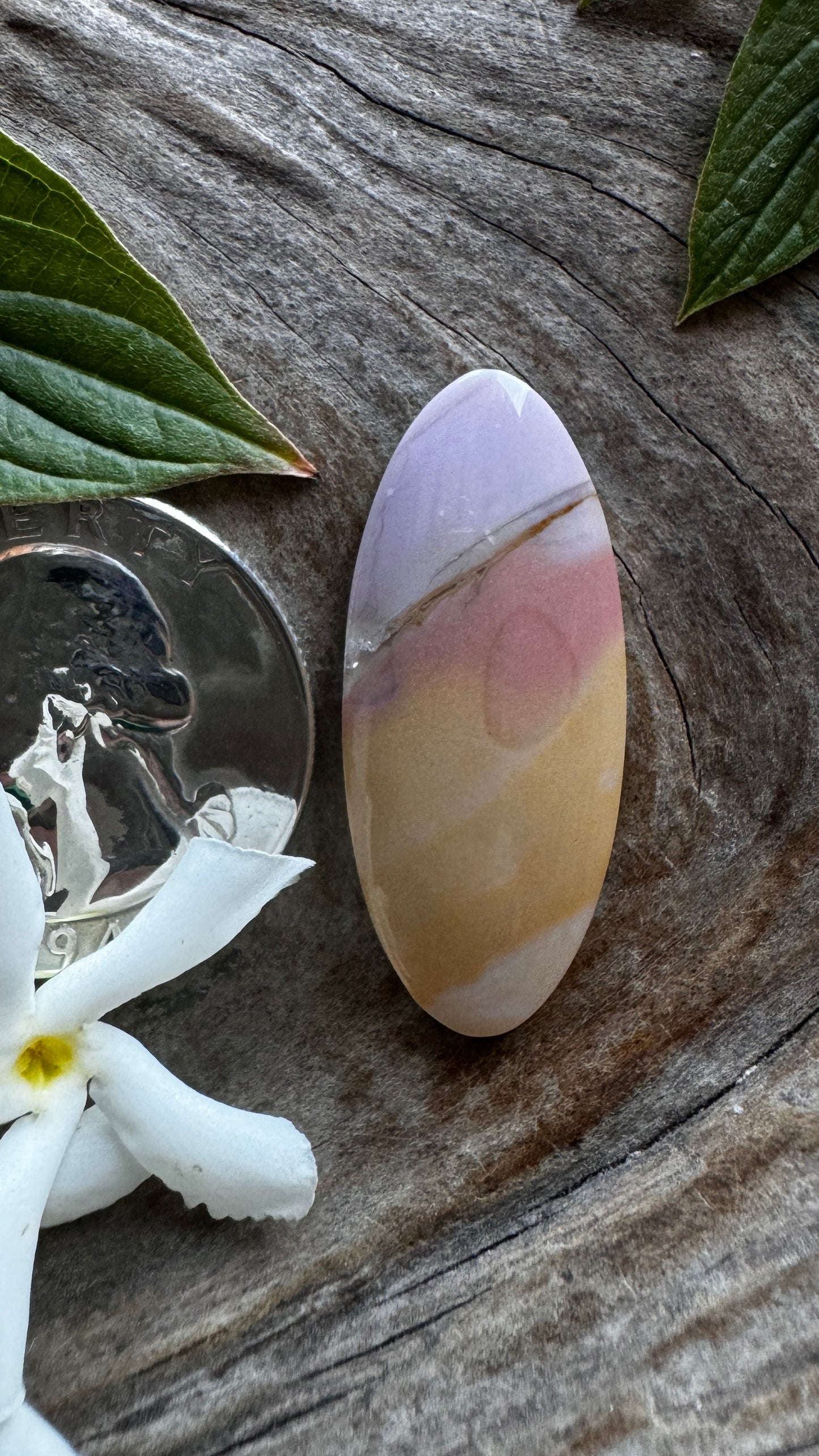 Oregon Sunset Jasper - fixed the boo boo - discounted