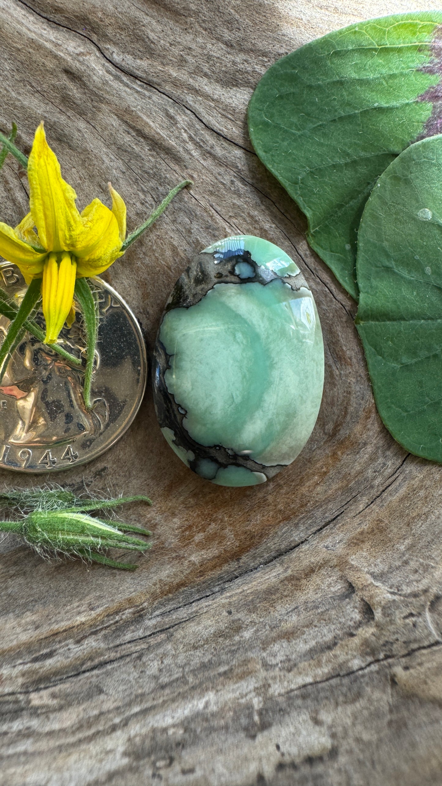 Desert Bloom Variscite - SWOOP STUNNER