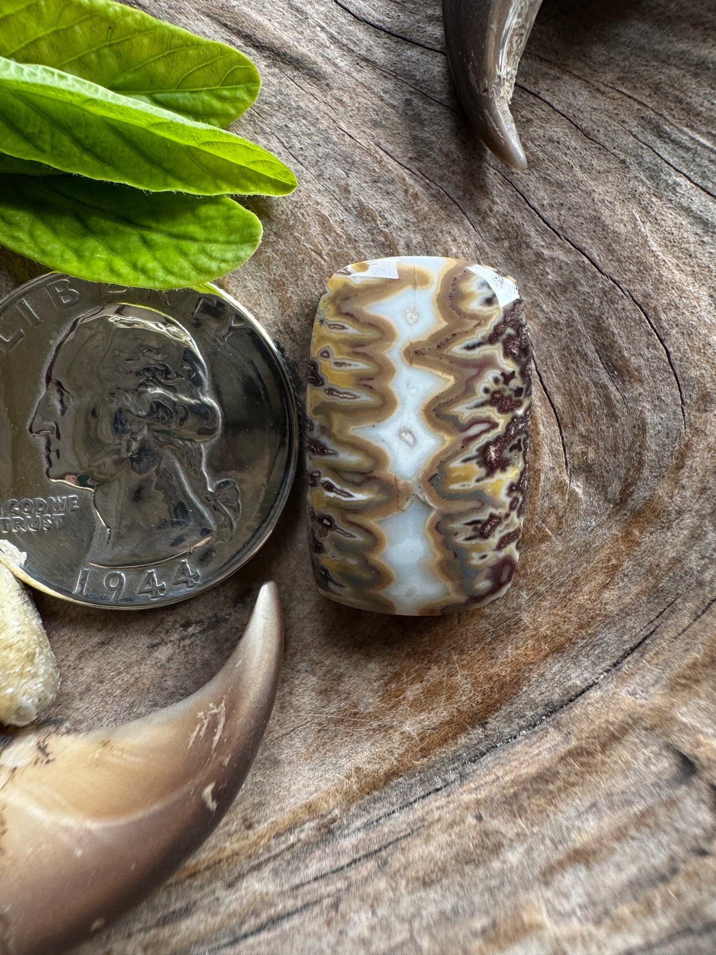 Idaho Seam Agate