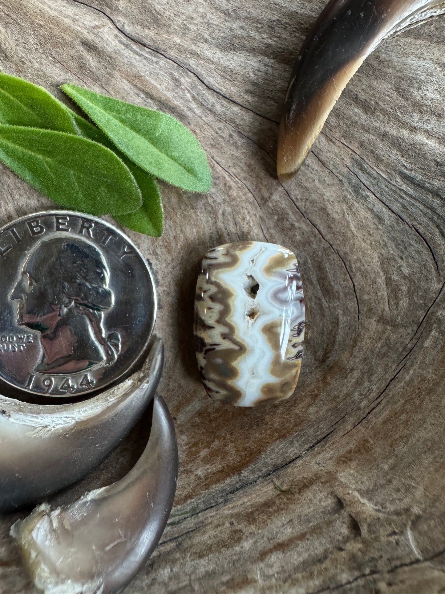 Idaho Seam Agate