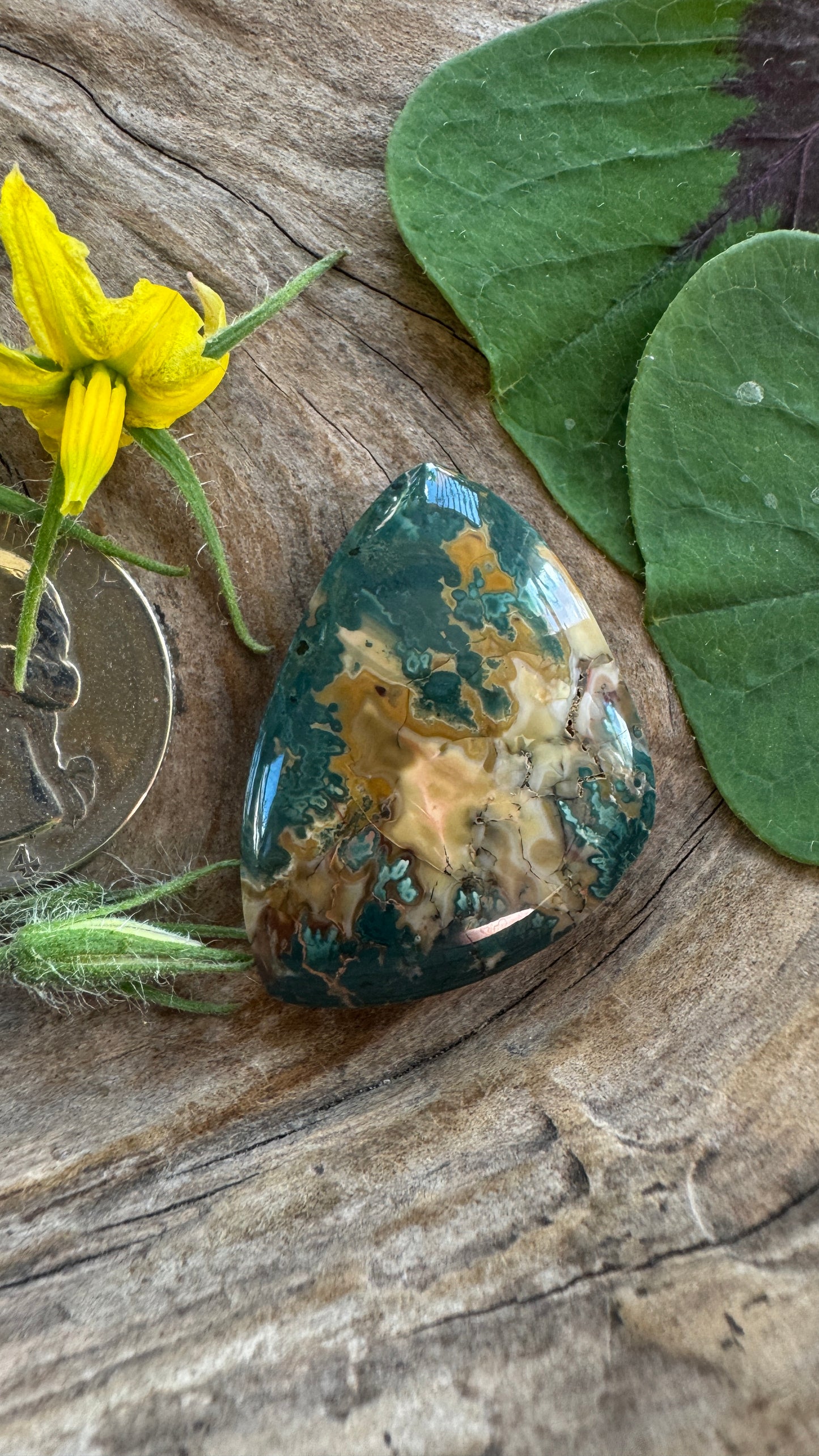 Mean Green Jasper - Big Banger