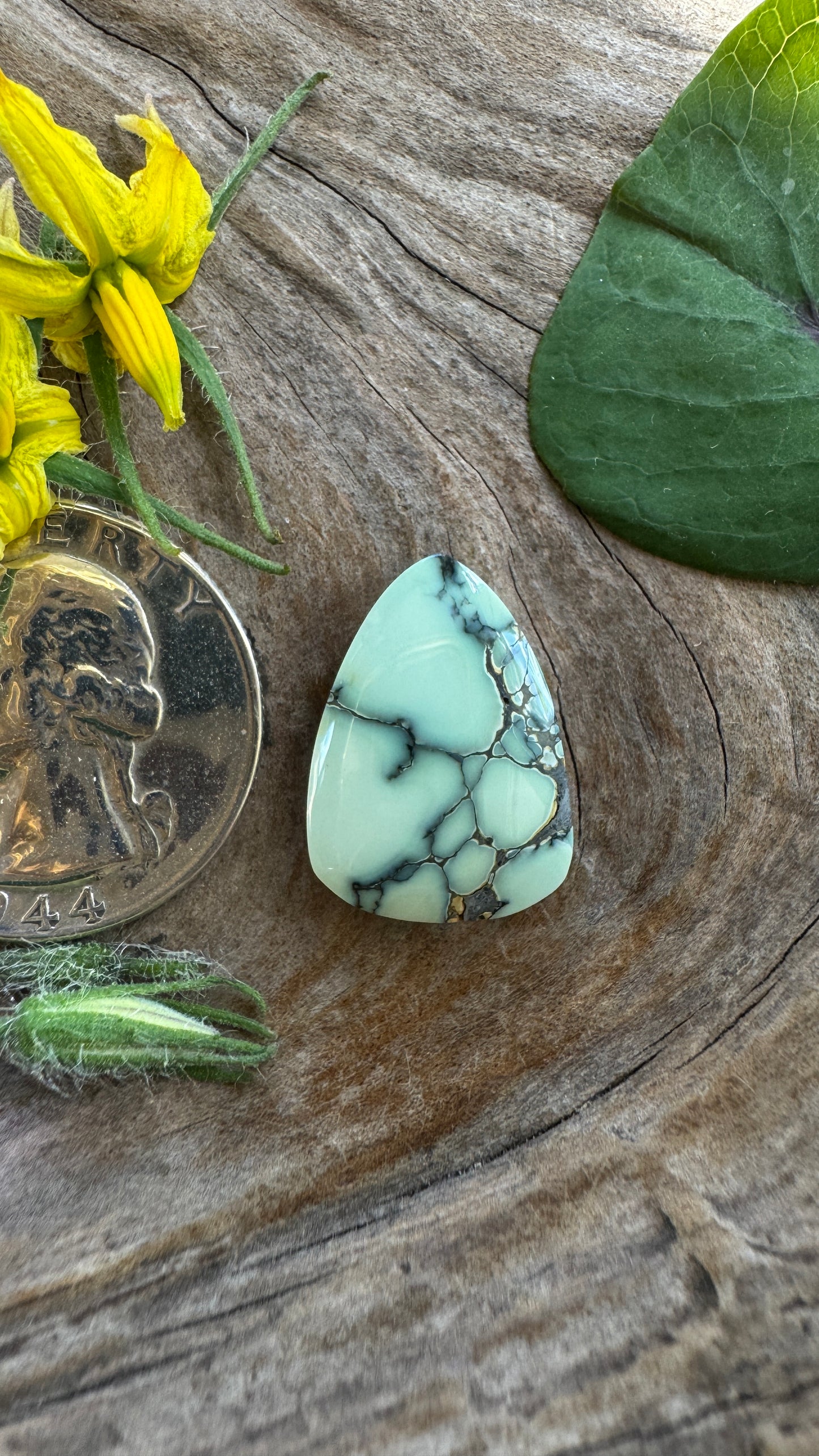 Prince Variscite