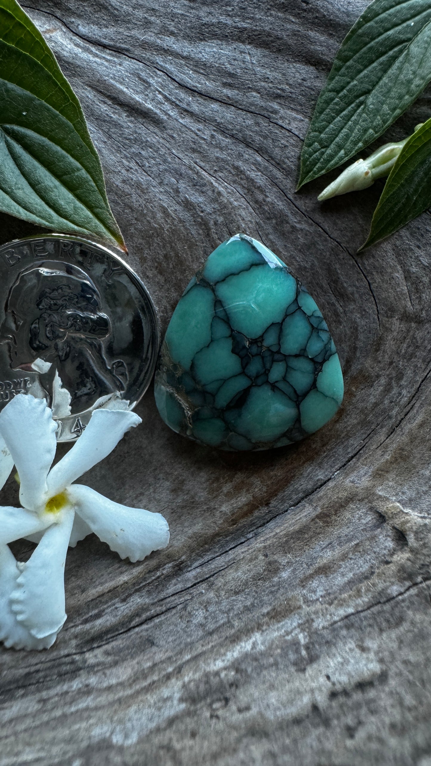 Desert Bloom Variscite - Big Tri