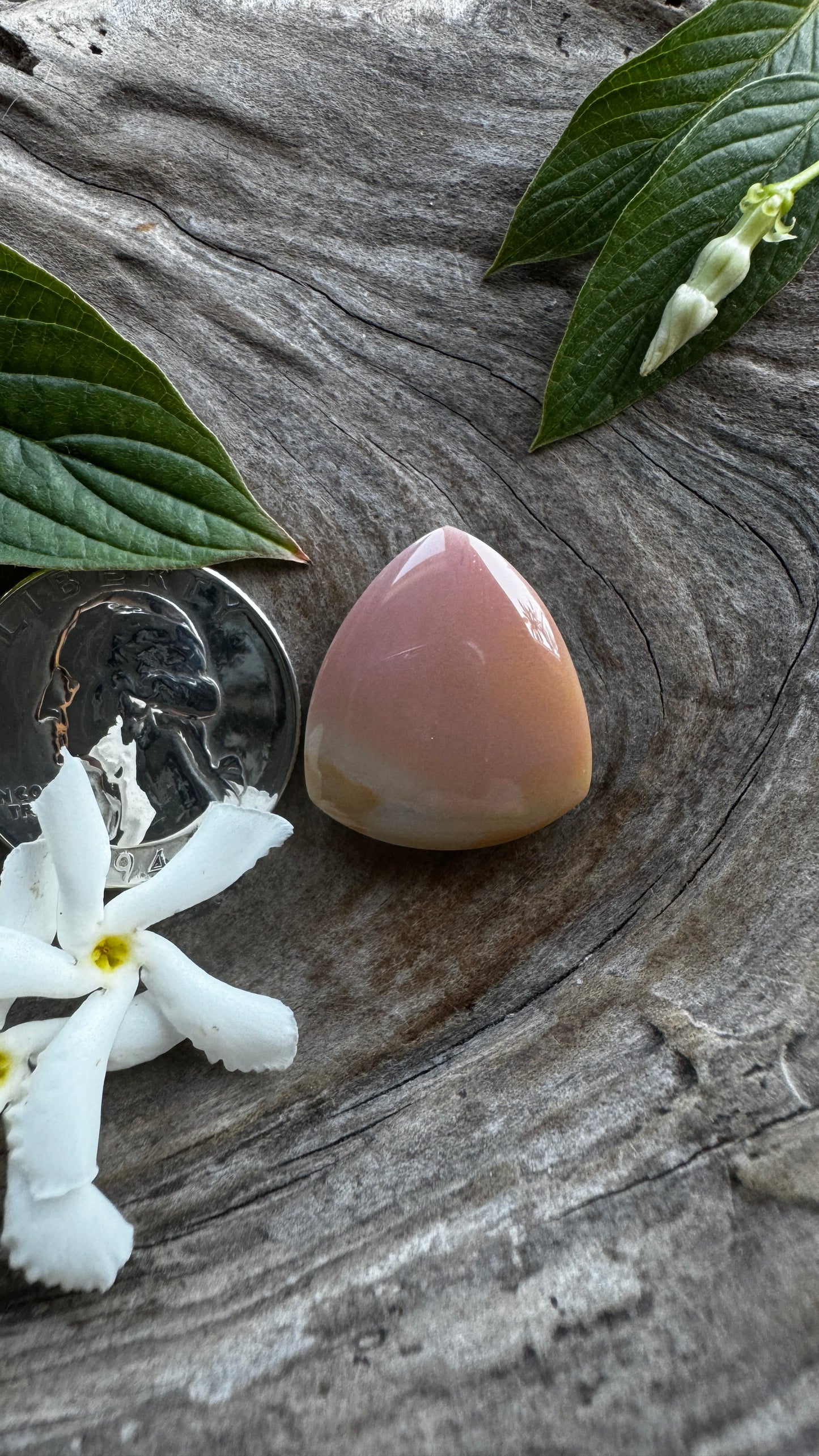 Oregon Sunset Jasper - Pink/Yellow ombre Triangle