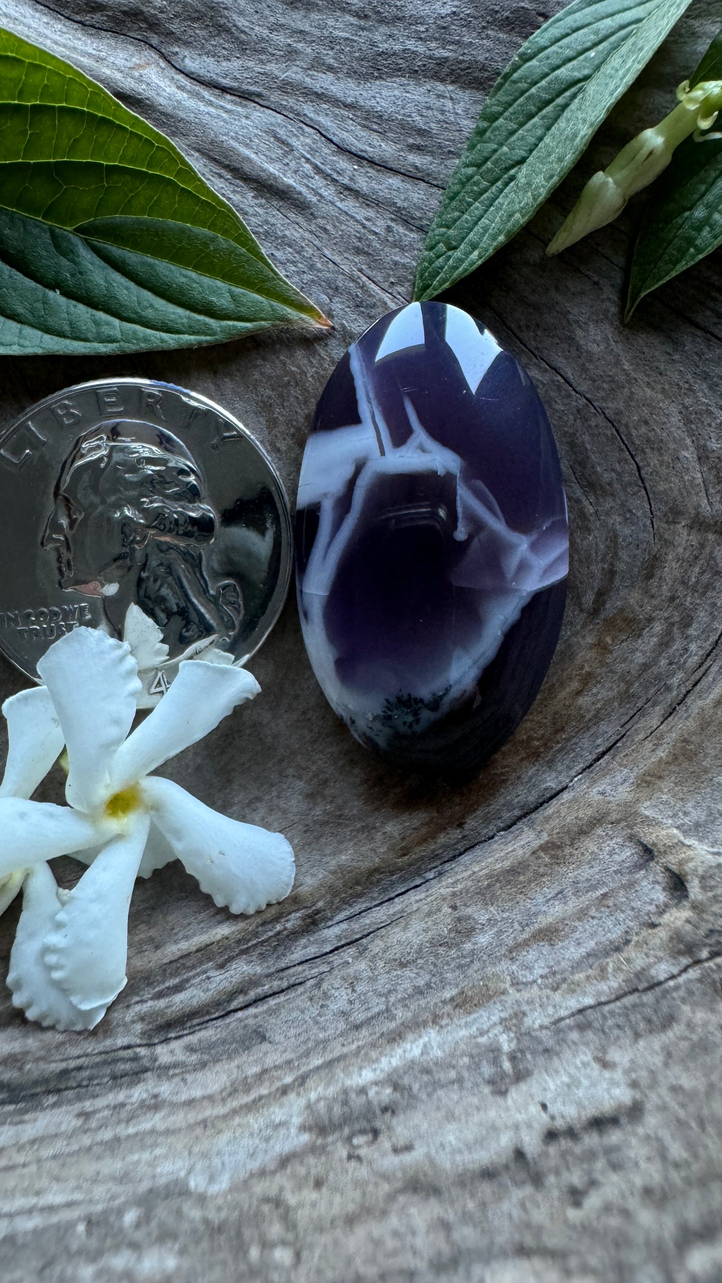 Bruneau Canyon Amethyst -Rare - Idaho