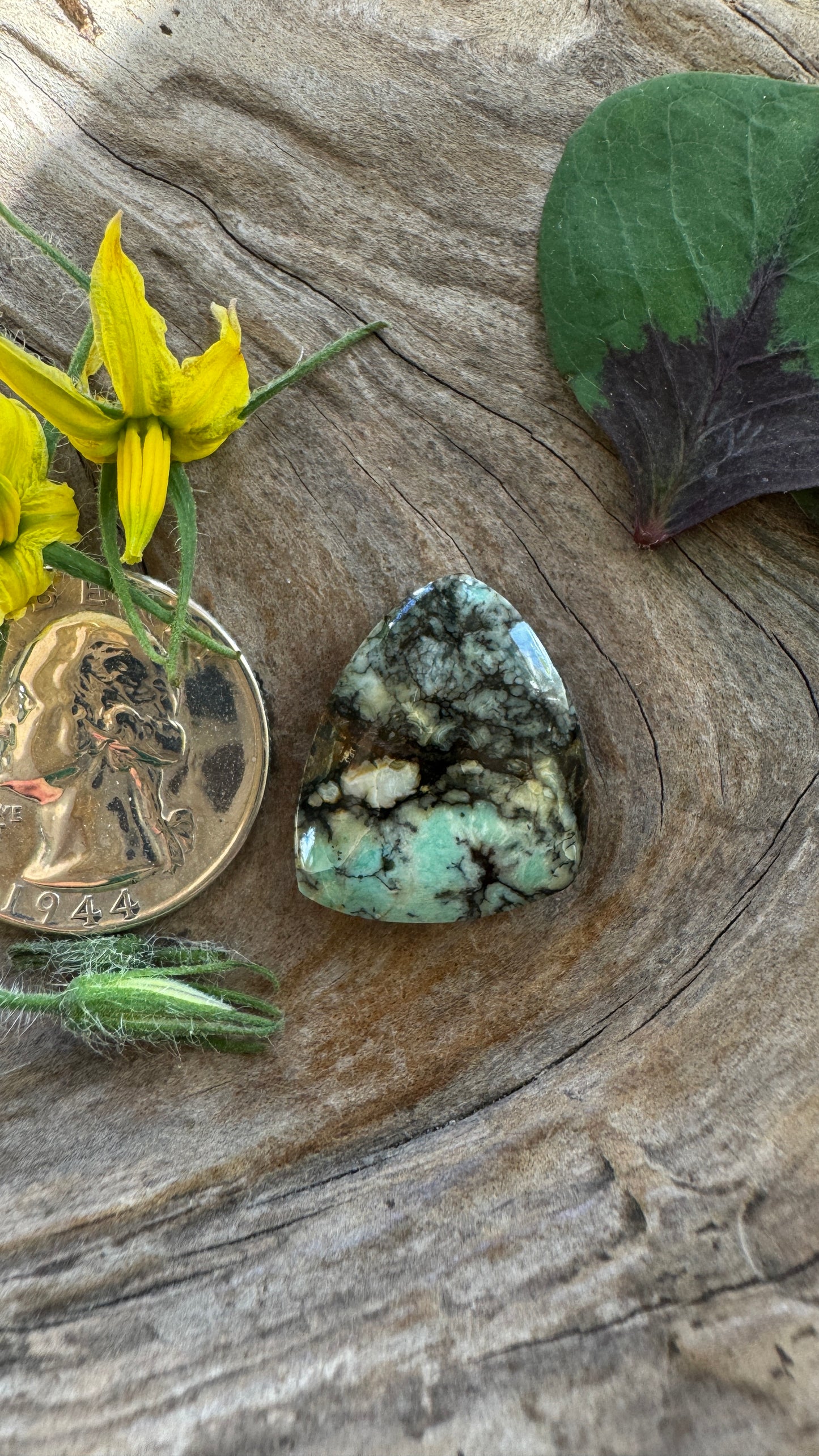 Candelaria Variscite