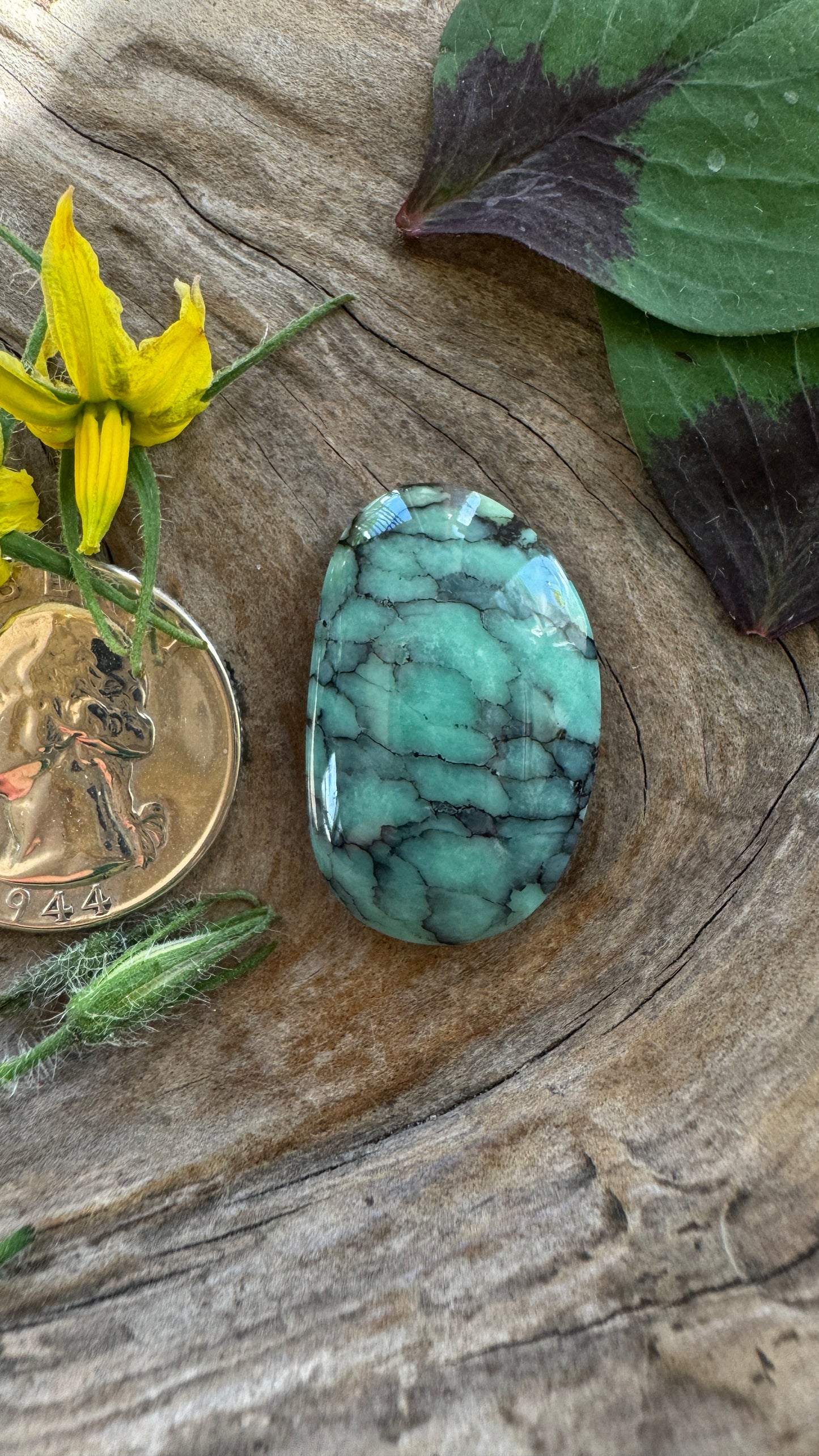 Desert Bloom Variscite BIGGGG