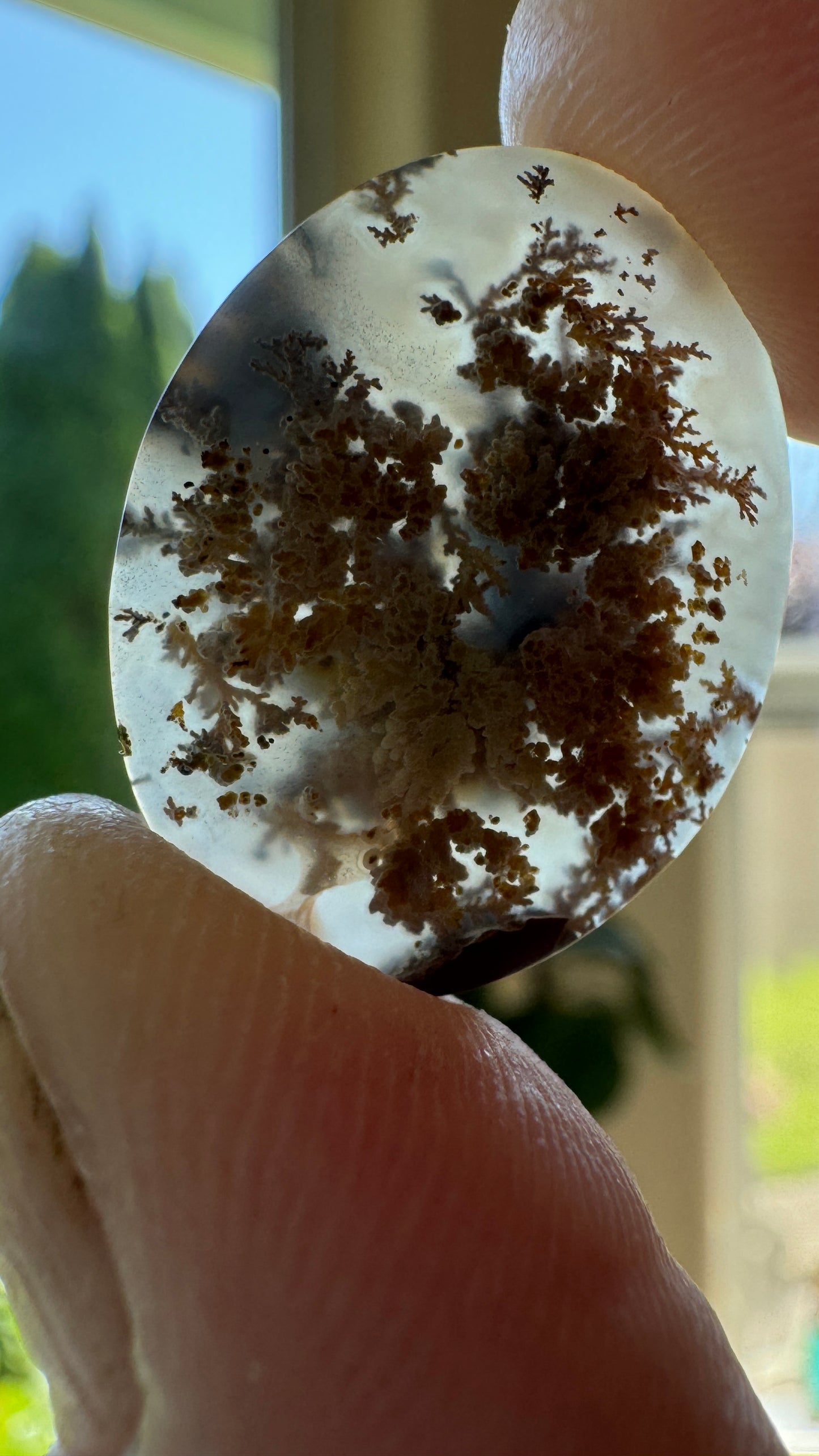 Priday Plume Agate - Richardson's Ranch - Oregon