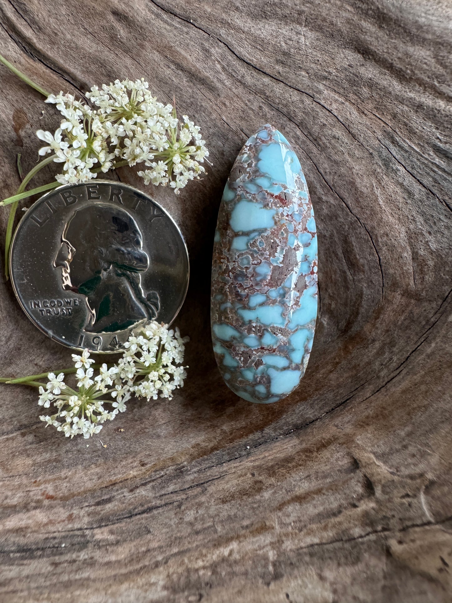 Dry Creek Turquoise - natural/backed/hefty talon
