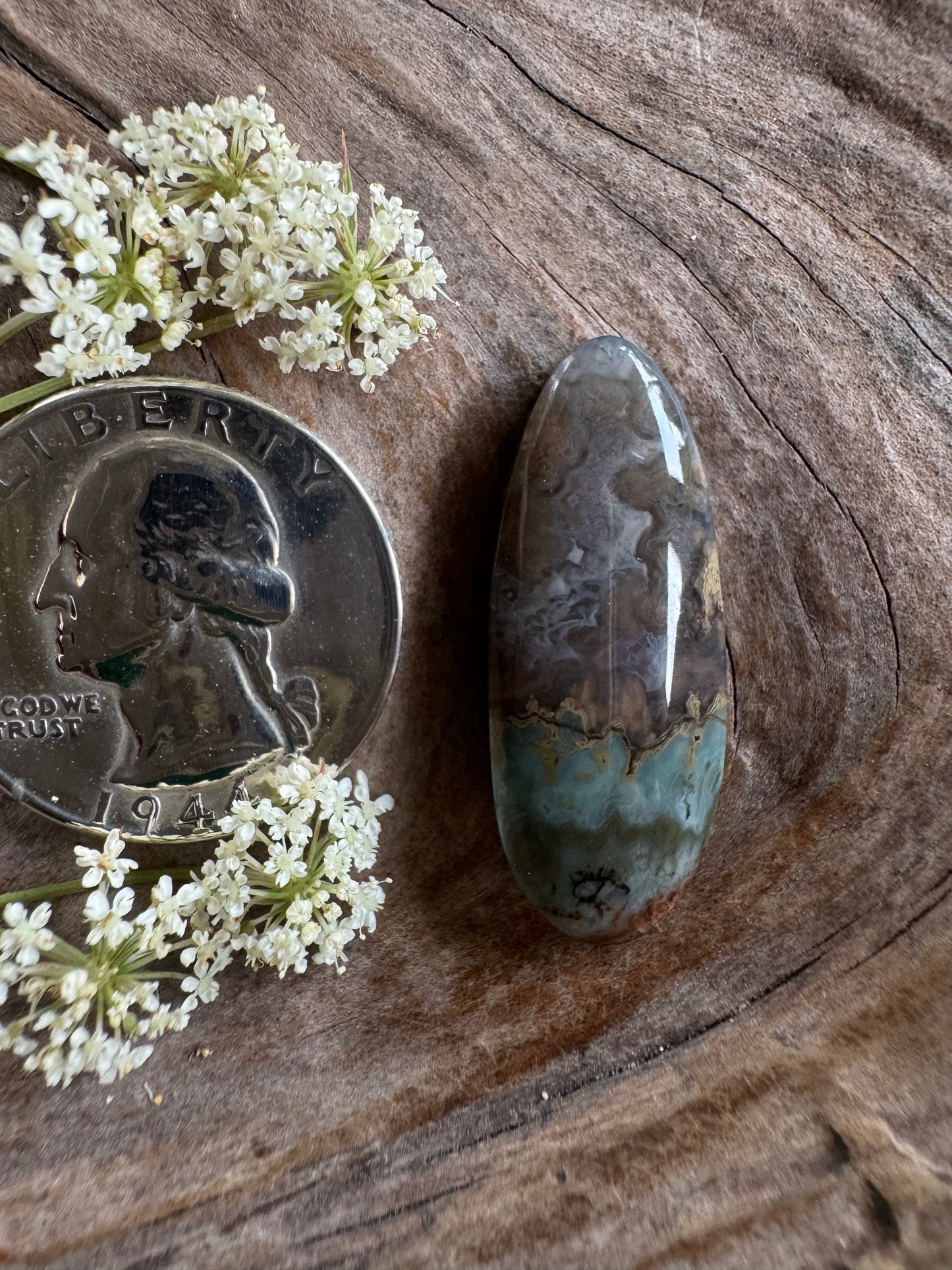 Prudent Man - backed