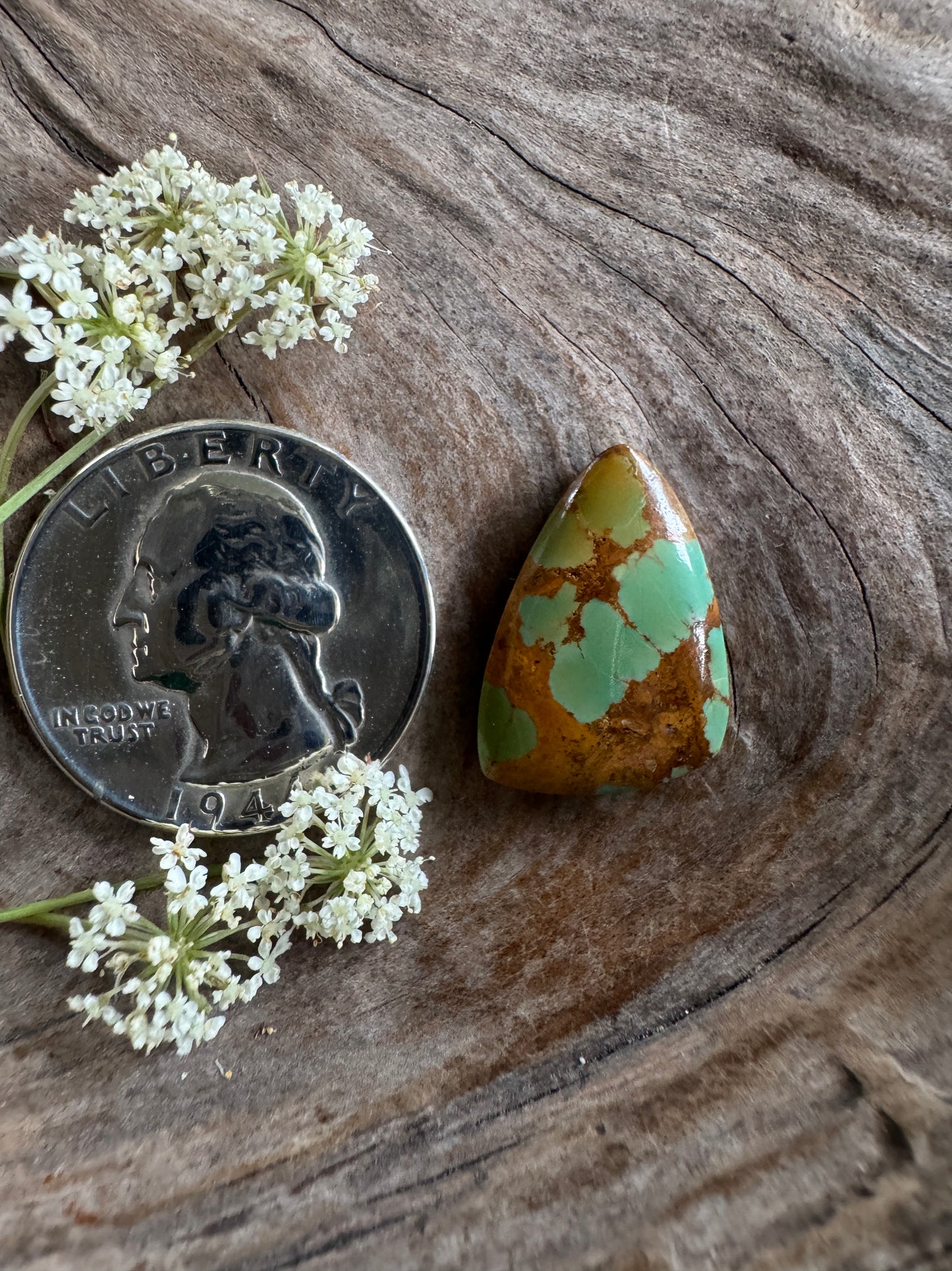 Rising Phx Turquoise~backed~2019 stuff!