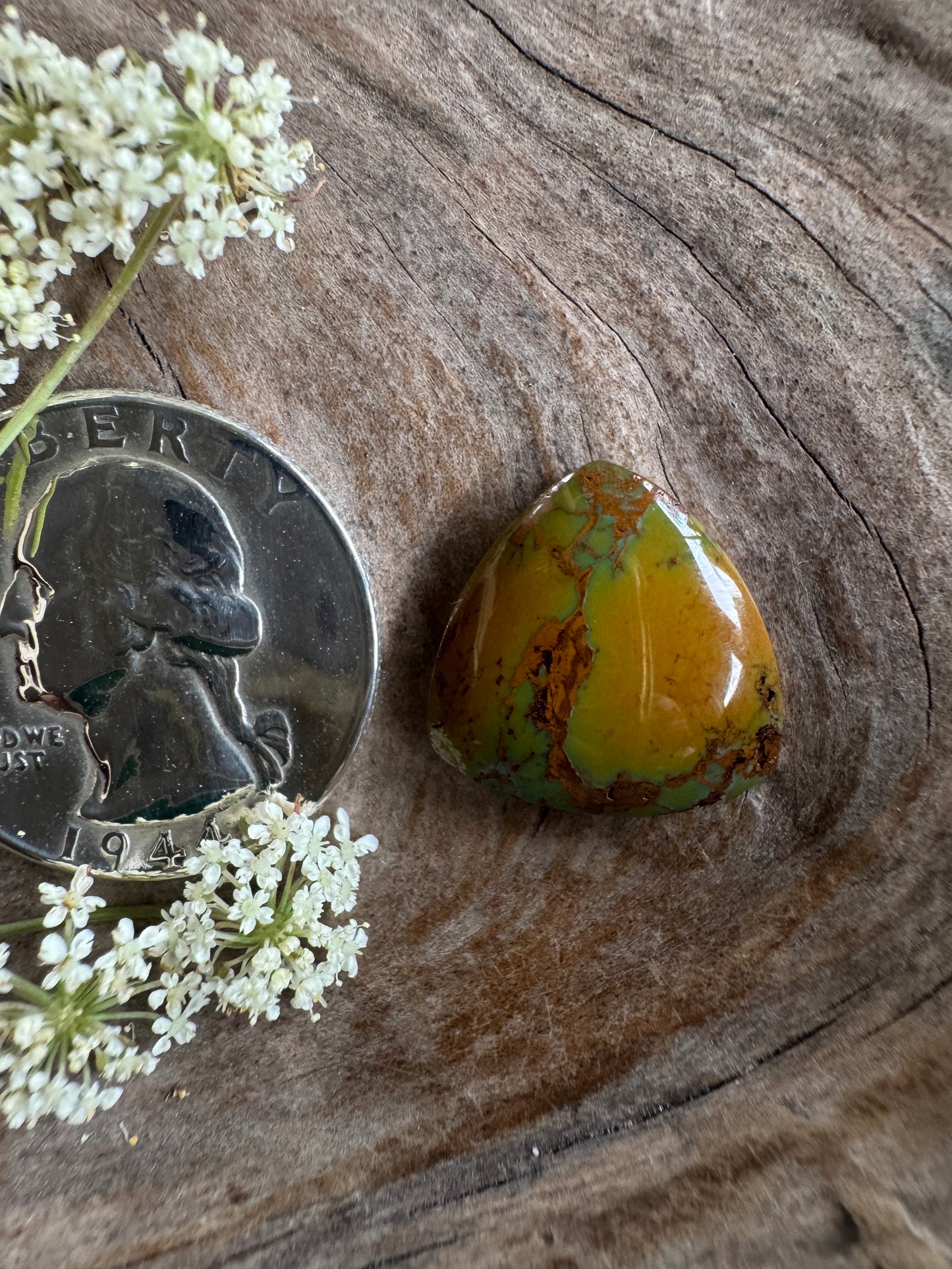 Rising Phx Turquoise~backed~2019 stuff~RRRRICHHH
