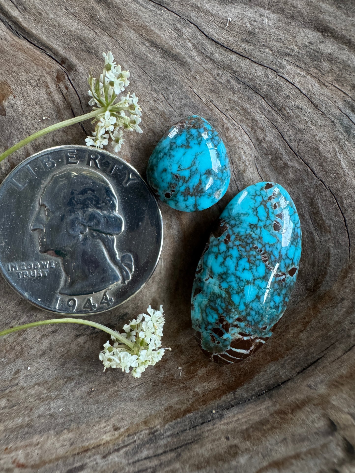 Indian Mountain Turquoise Duo