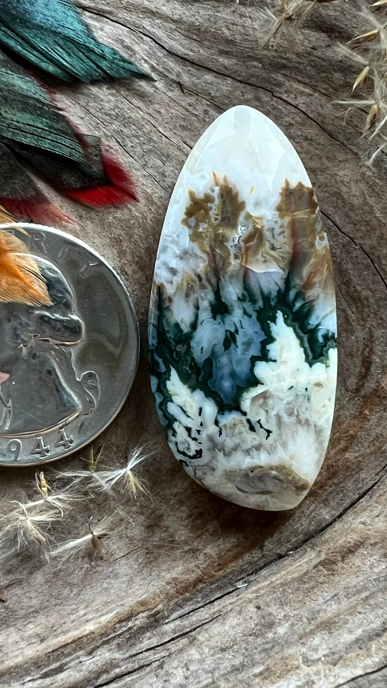 Extremely Rare Forest Green Plume Agate ~ BIG BERTHA ~  Idaho