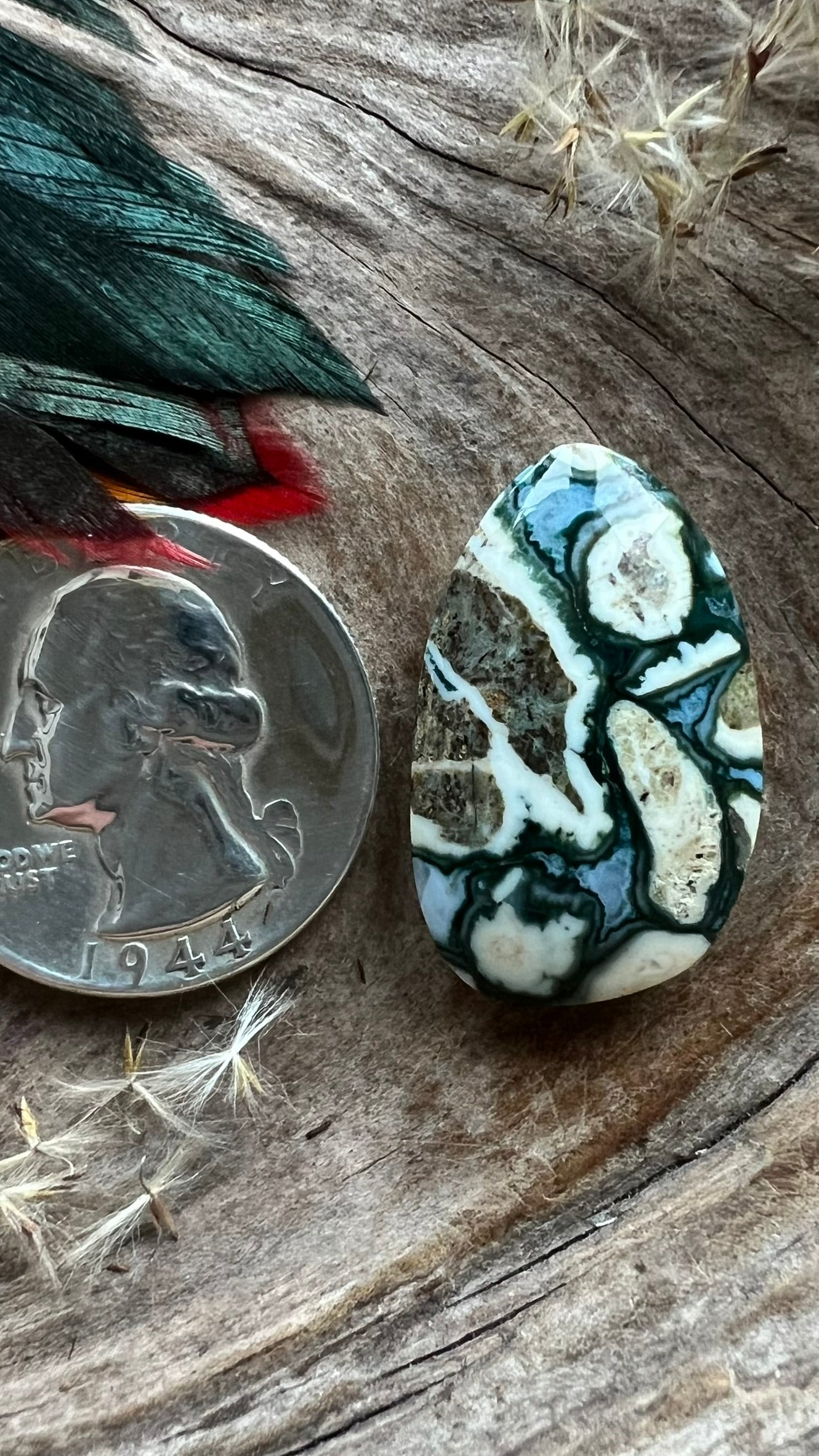 Extremely Rare Forest Green Plume Agate ~  Idaho