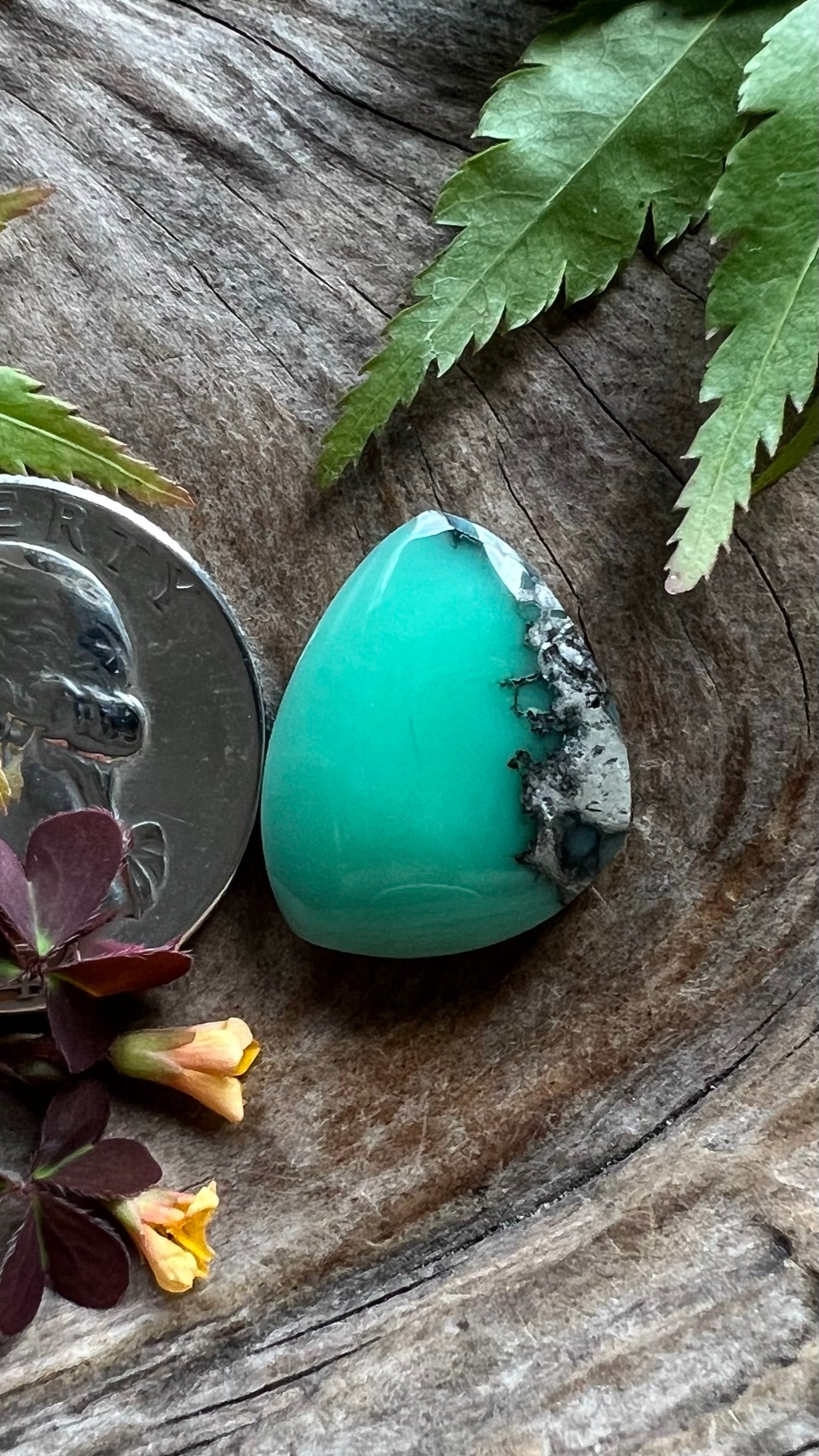 Desert Bloom Variscite