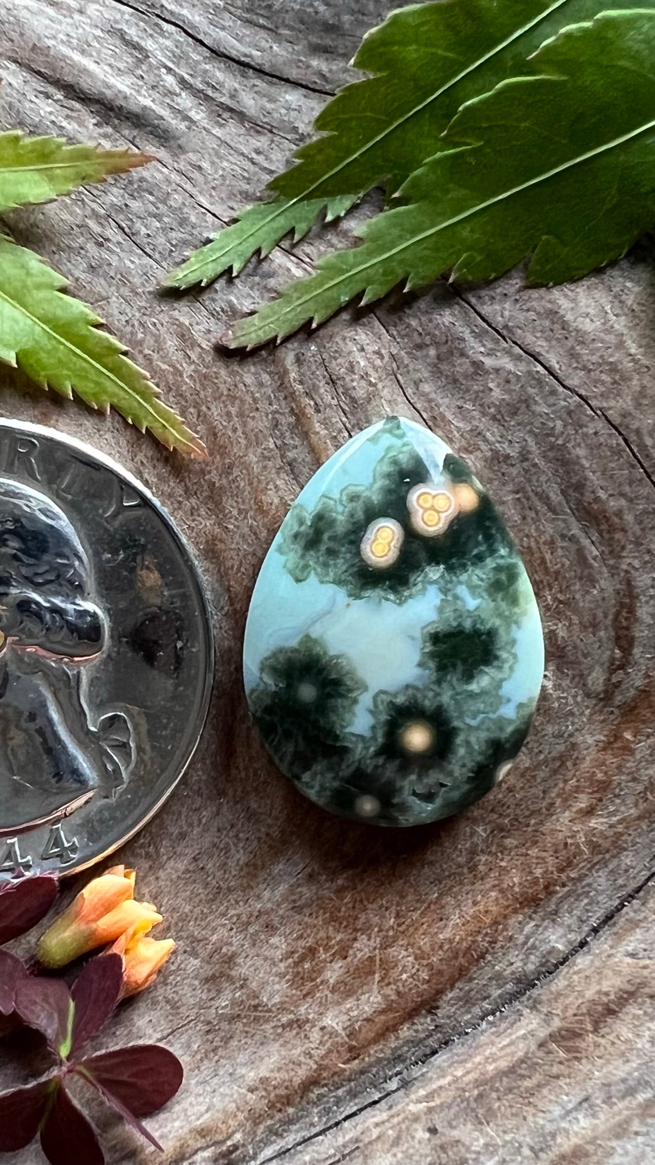 Ocean Jasper ~ Perfect Ringer