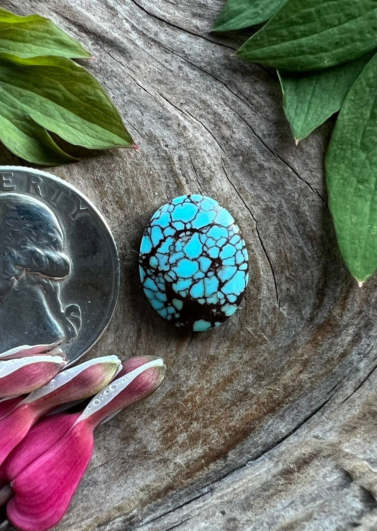 Persian Turquoise