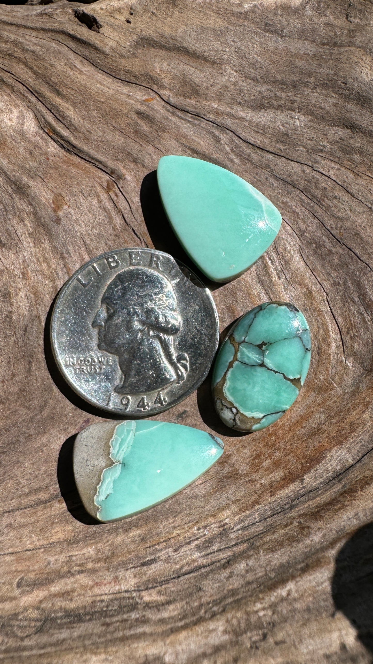 Desert Bloom Variscite Cabochon lot of 3