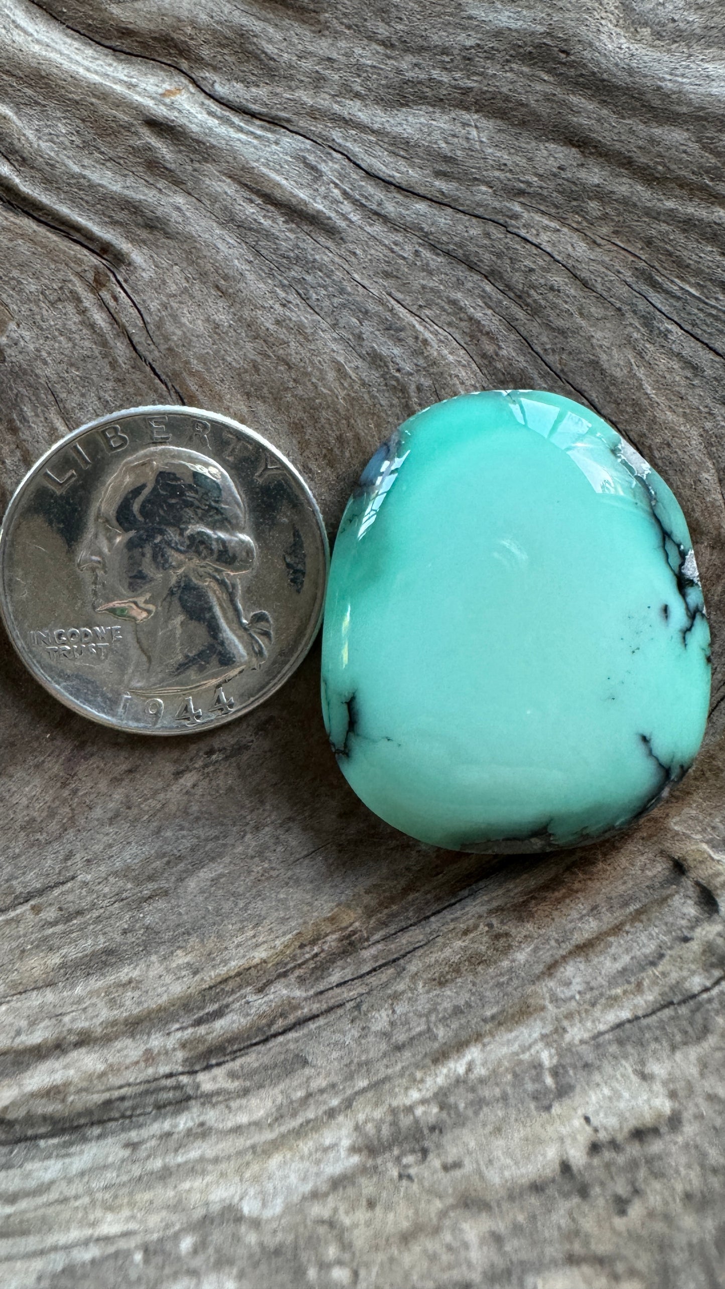 Desert Bloom Variscite Cabochon