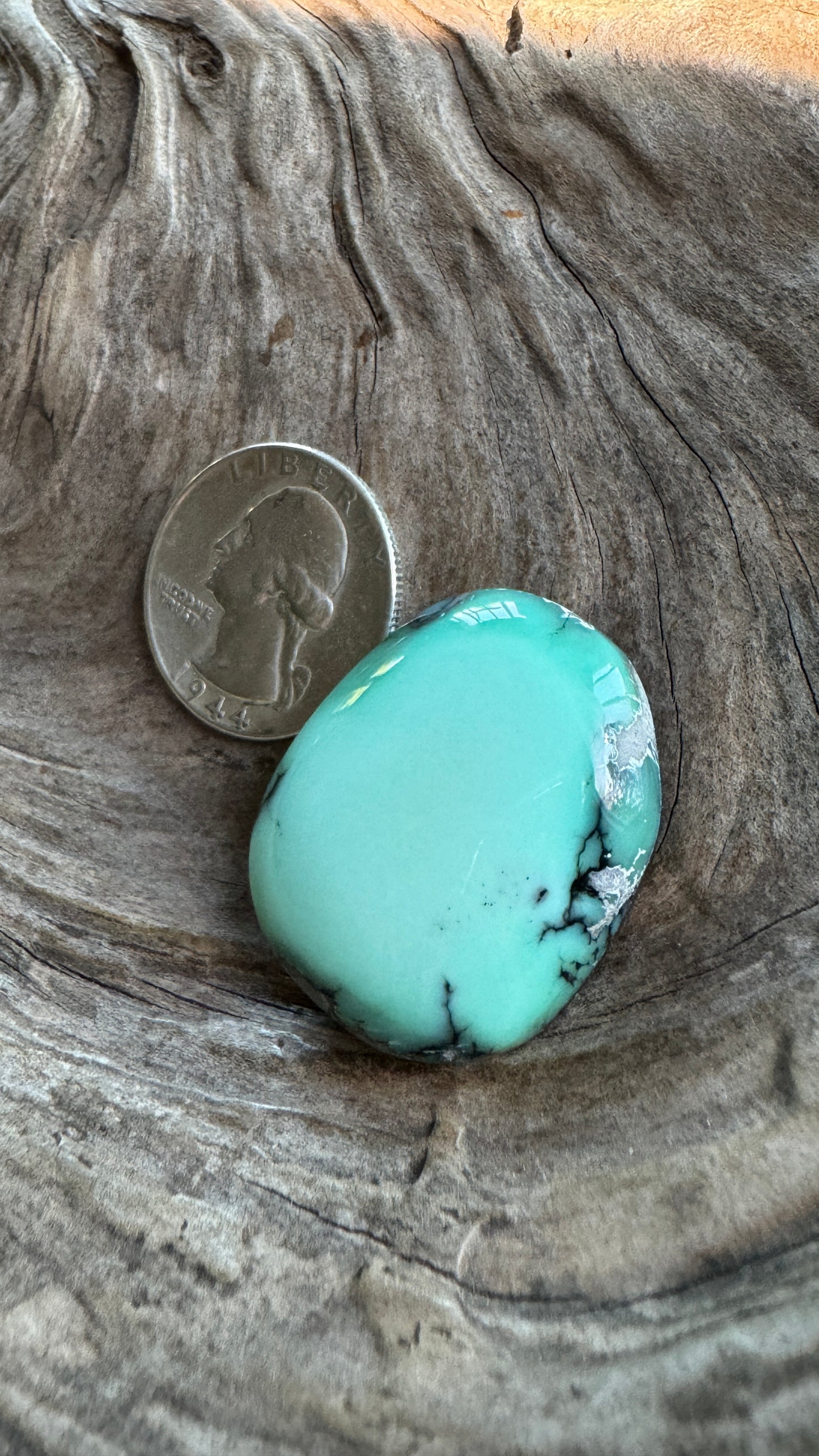 Desert Bloom Variscite Cabochon