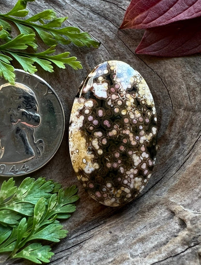 Ocean Jasper ~ Madagascar ~Orby biggie