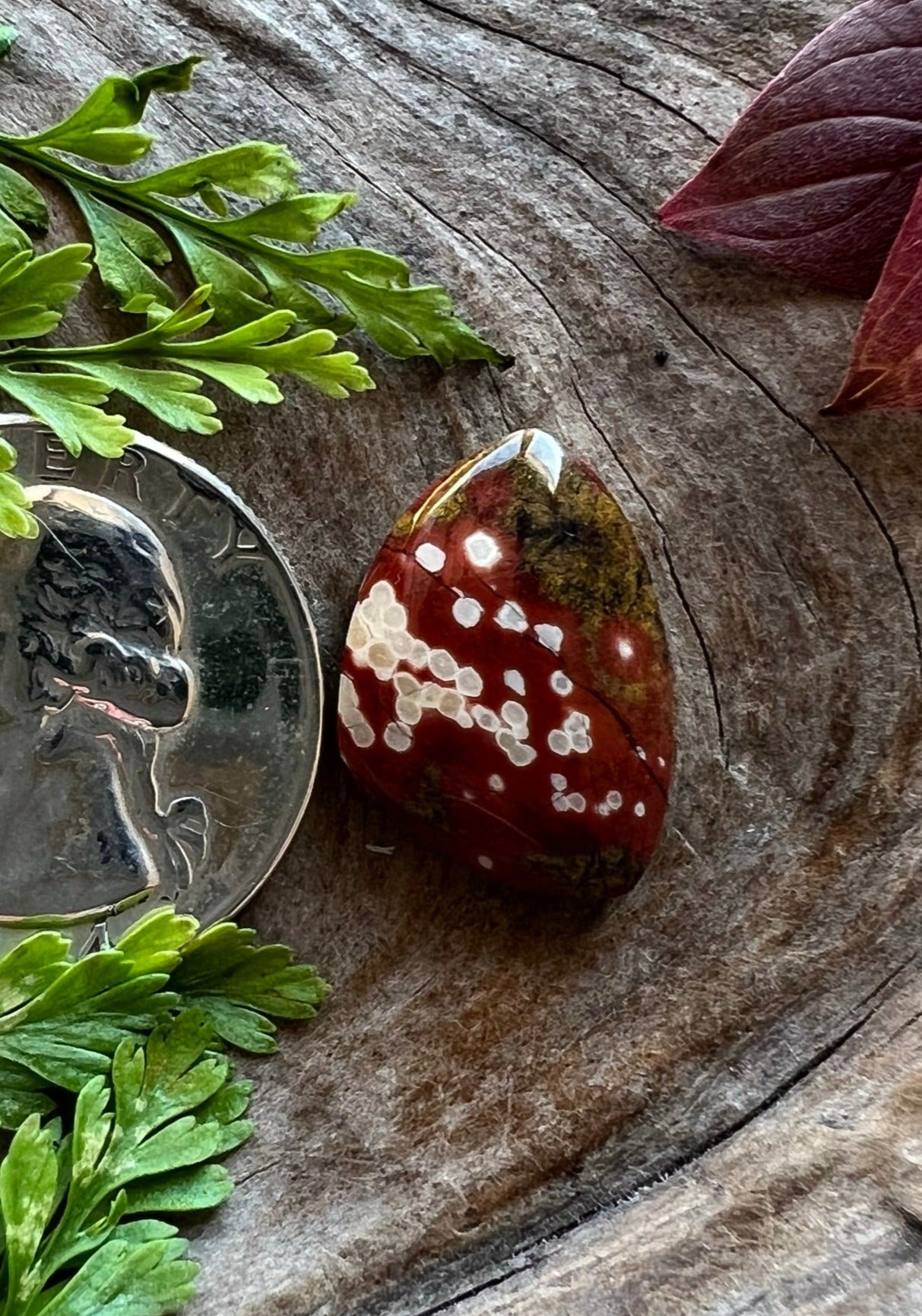 Guadalupe Poppy Jasper ~ Calif