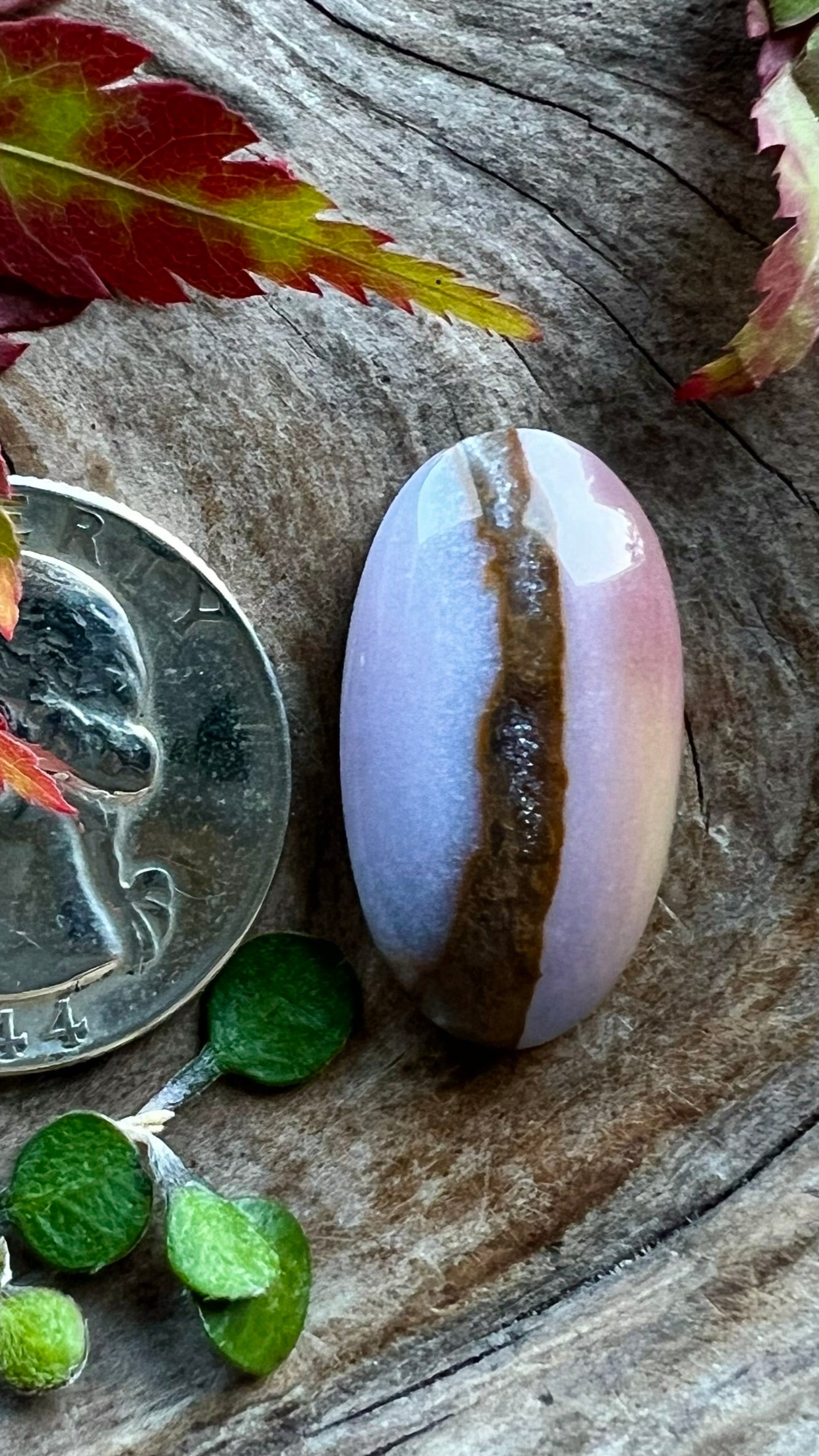 Oregon Sunset Jasper ~ sherbet/druzy/SO GOOD