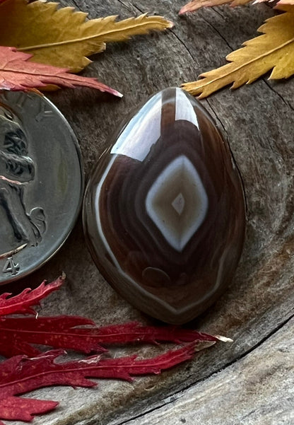 BIG Lake Superior Agate ~ NO FRACTURES!! ~ that is a US quarter!!