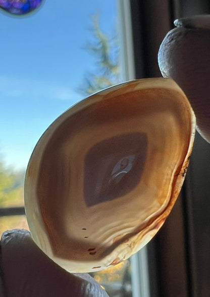 BIG Lake Superior Agate ~ NO FRACTURES!! ~ that is a US quarter!!