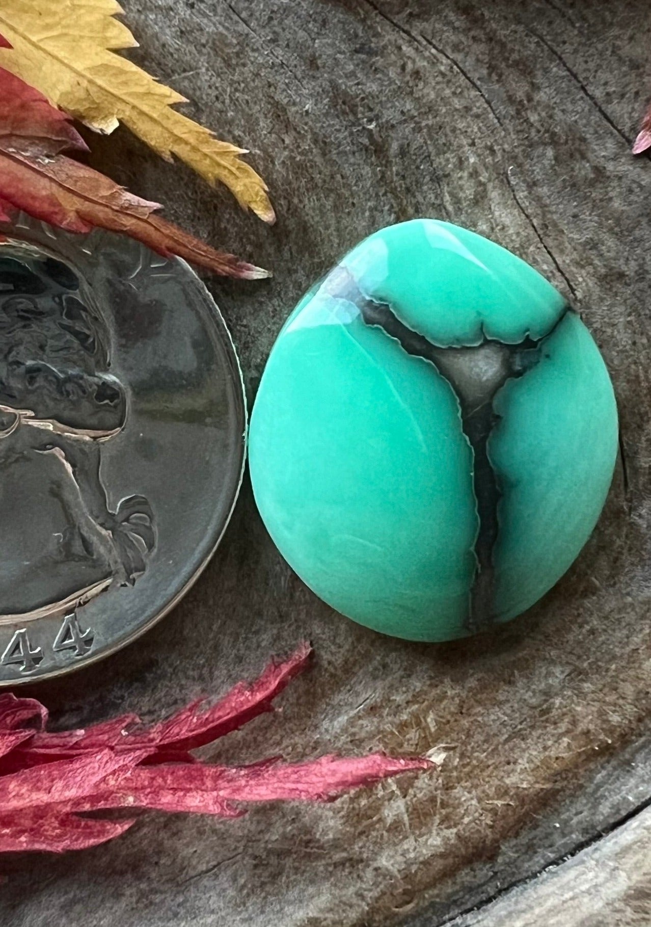 Desert Bloom Variscite ~ natural healed fracture