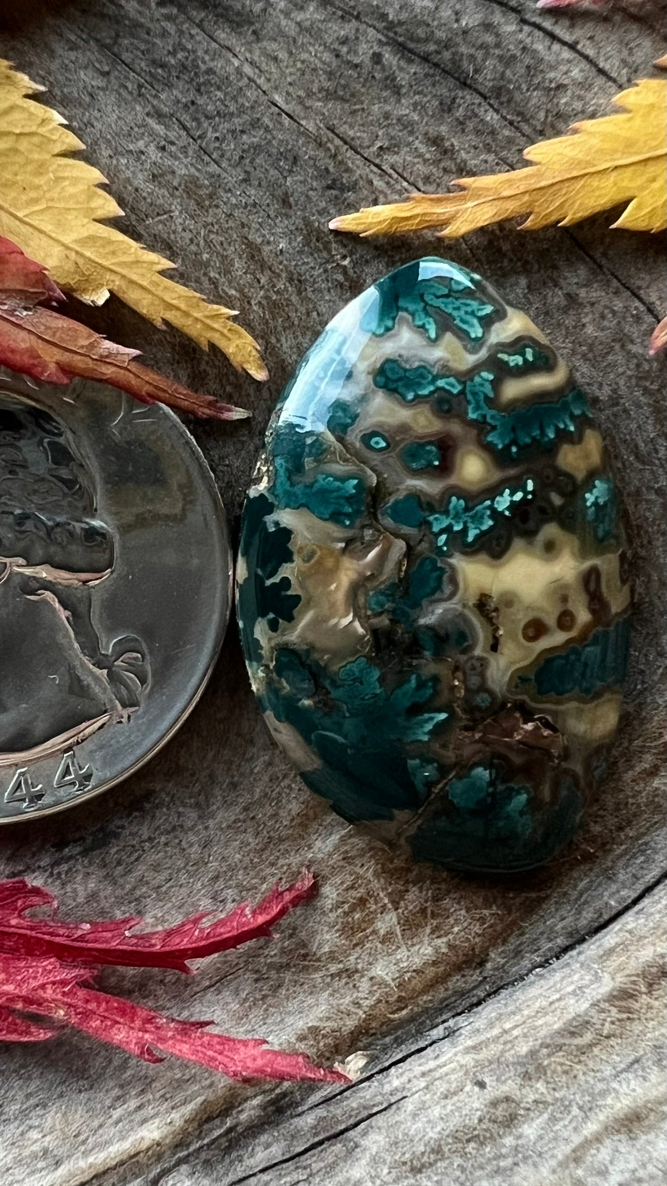 Mean Green Jasper ~ Idaho (So hard to photograph)