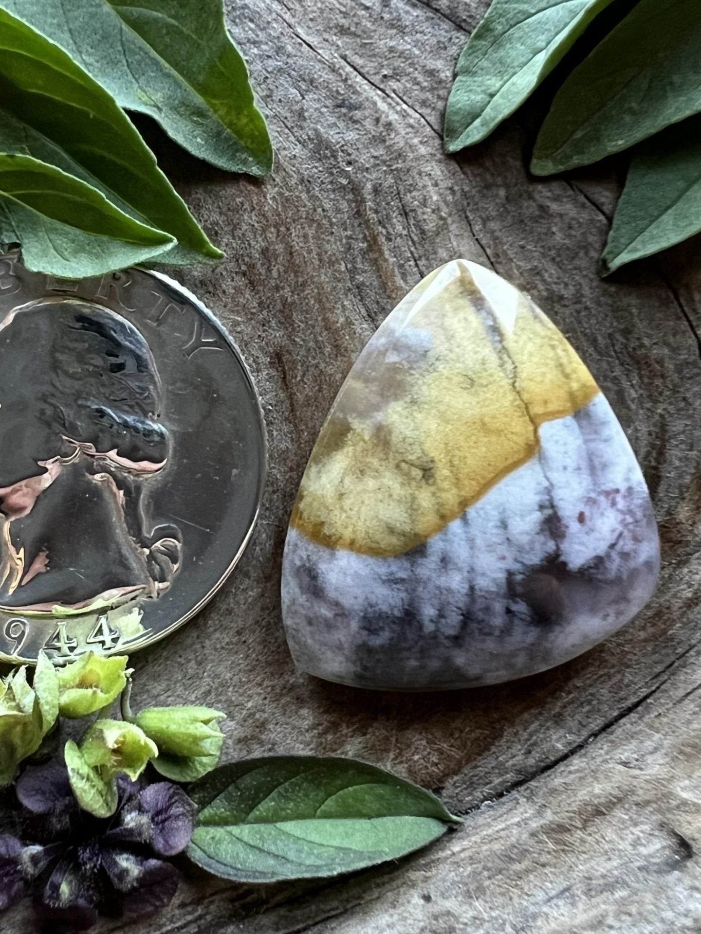 Oregon Sunset Jasper ~ New Purple/Yellow Flavor