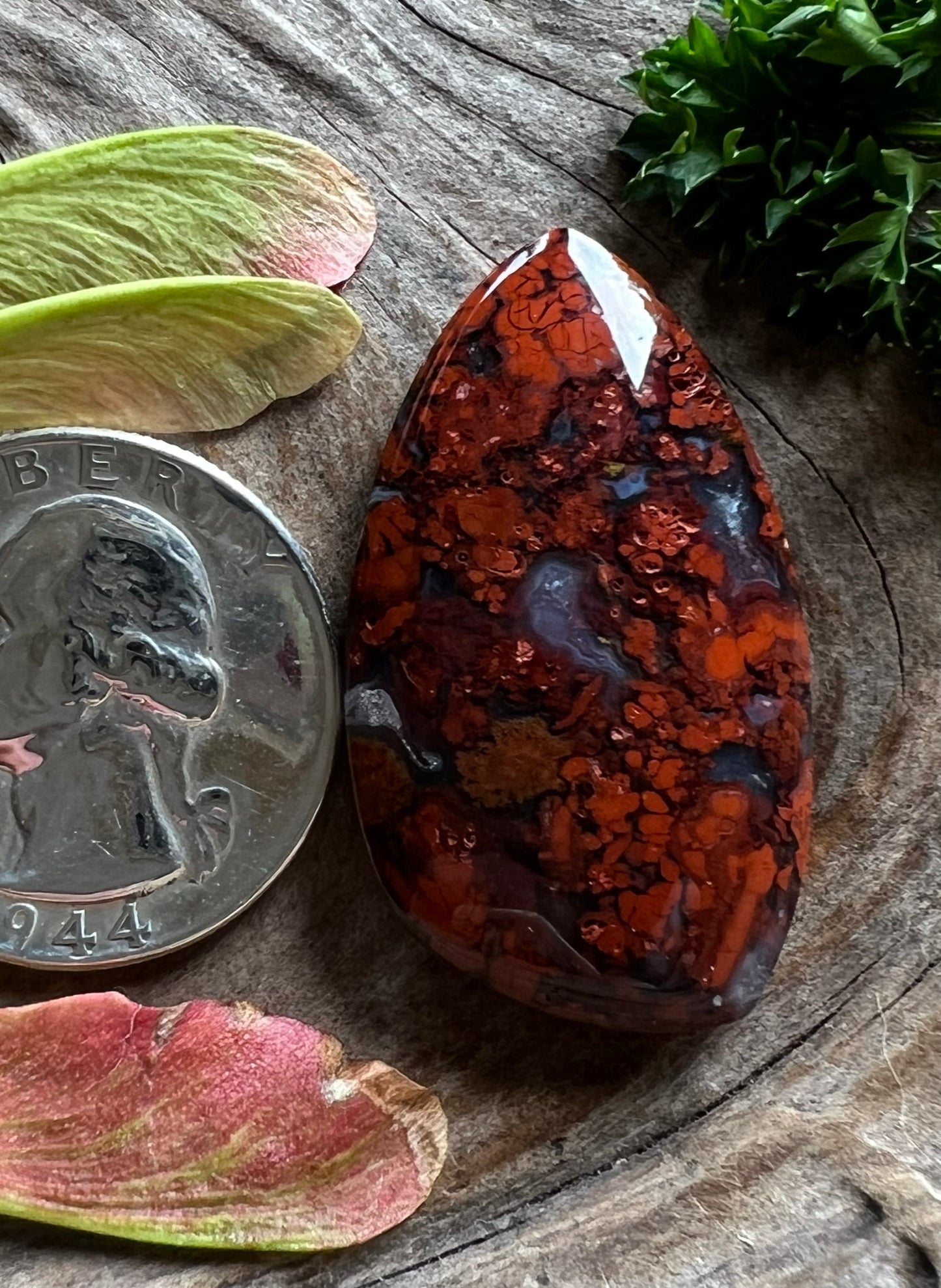 Lion's Blood Agate ~ Washington